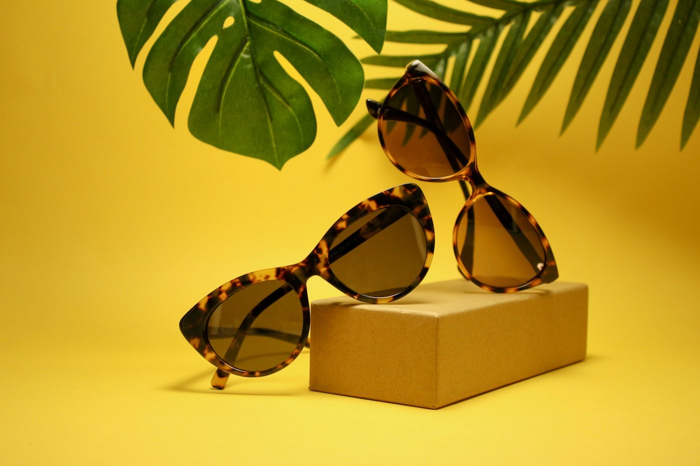 Tortoiseshell Frames